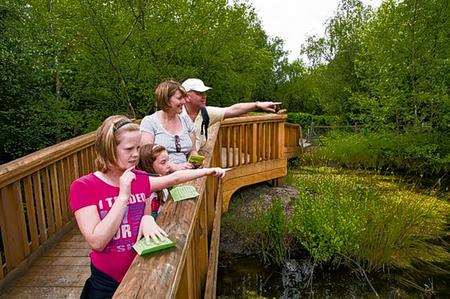 Shorne Woods Country Park