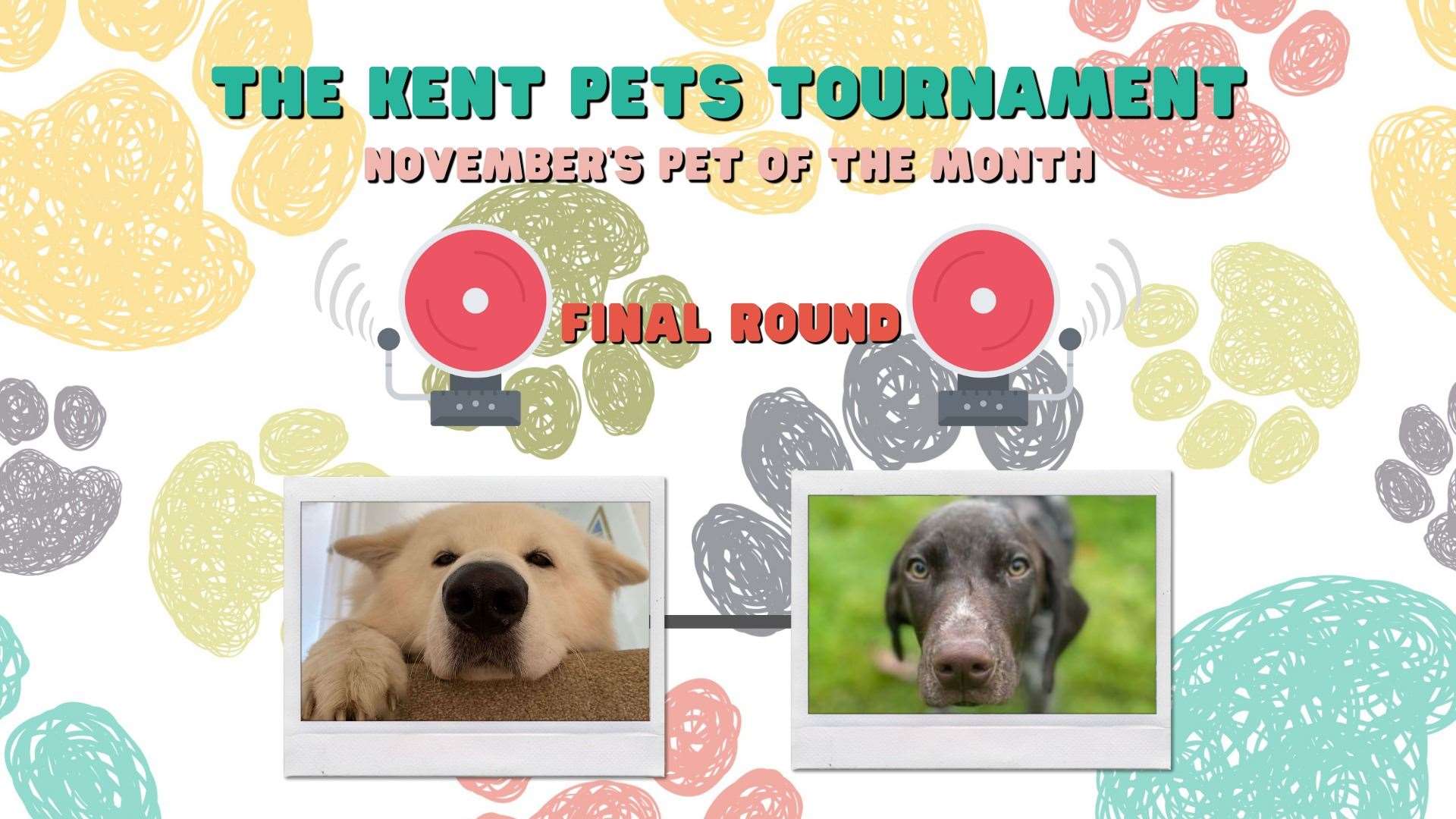 Who should win November's Kent Pets Tournament?