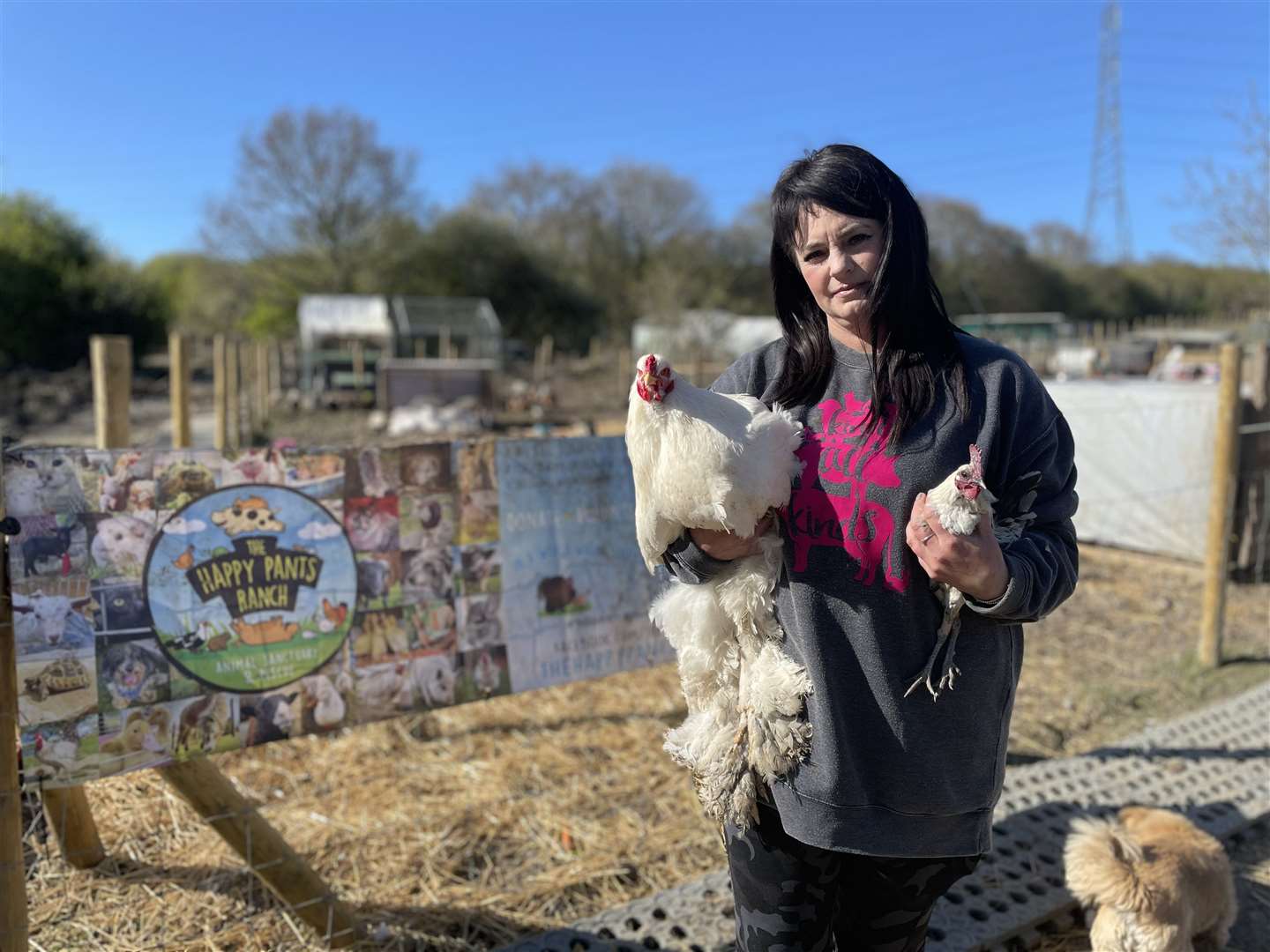 Founder Amey James with a couple of cockerels at The Happy Pants Ranch animal sanctuary in Iwade Lane, Bobbing