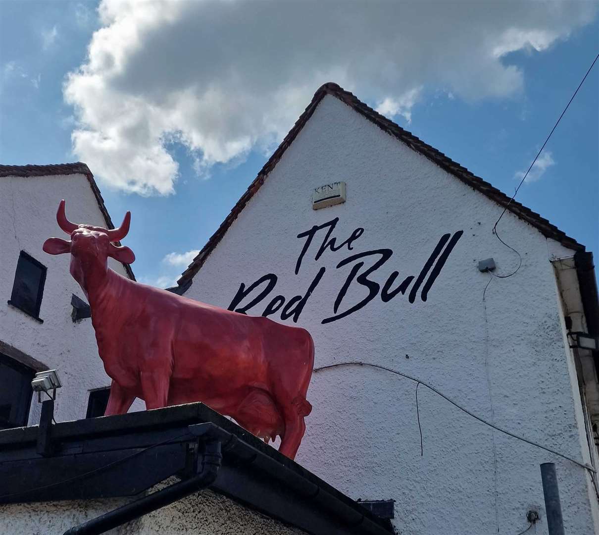 TV famous life-sized ‘bull’ installed on top of The Red Bull pub in Eccles