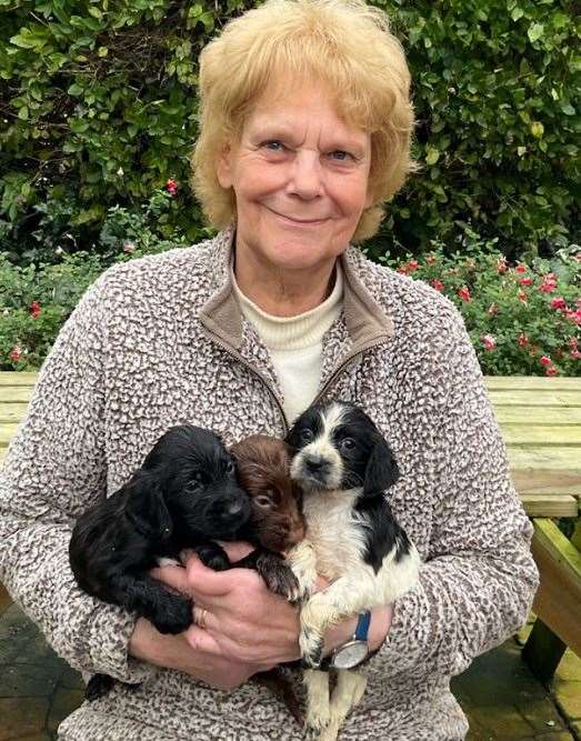 Lord Whisky Animal Sanctuary owner Margaret Todd with three of the spaniel pups