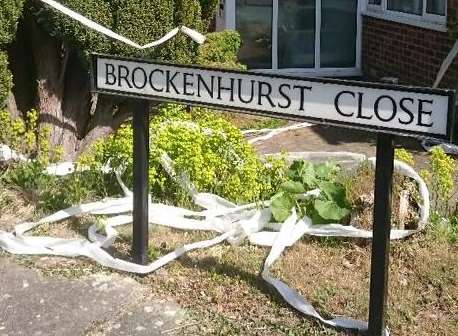 The house covered in toilet roll on the corner of Brockenhurst Close and Salisbury Road, Canterbury.