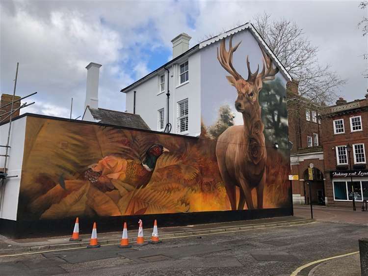 'Flamboyant fawn', in Bank Street Ashford, has been recognised in a global street art award