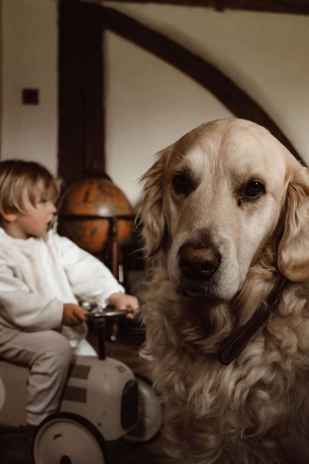 Ollie with his best friend