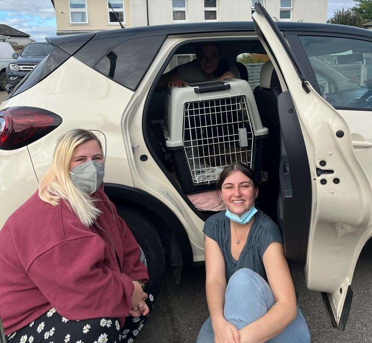 The 'Dream Team' helped with their third peacock rescue. Picture: Dartford Animal Rescue Team