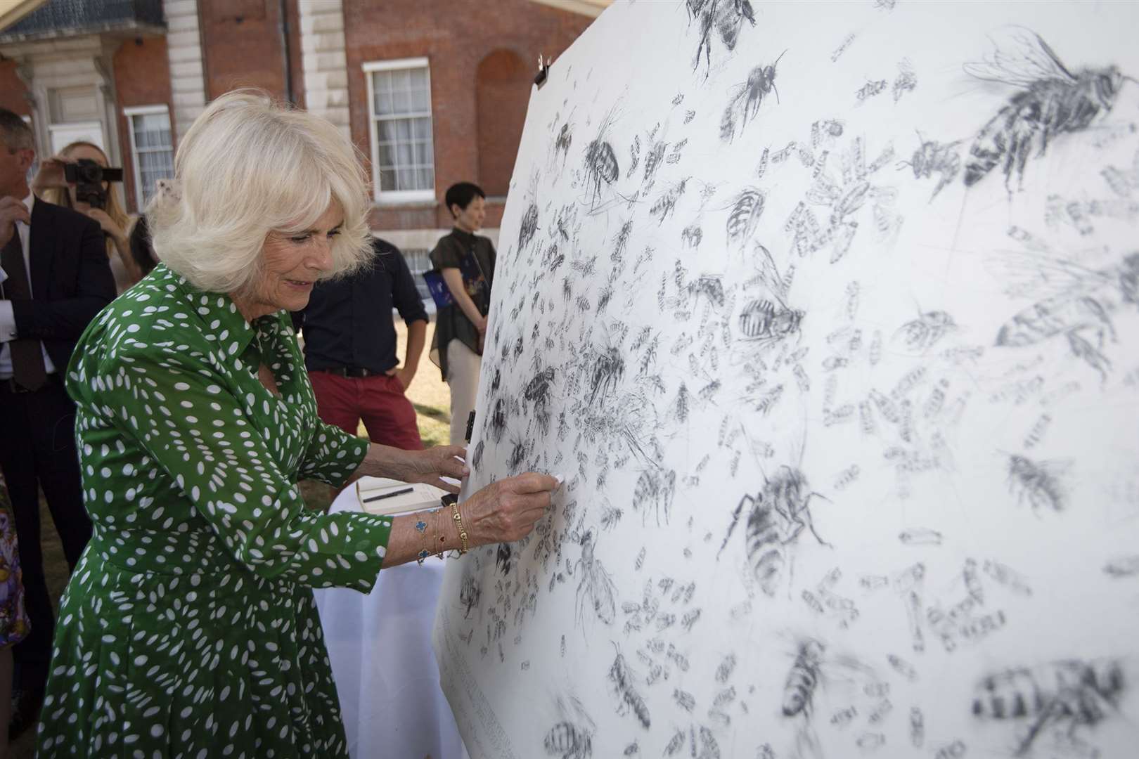 Camilla erased a bee from a drawing by artist Frances Gynn (Eddie Mulholland/Daily Telegraph)