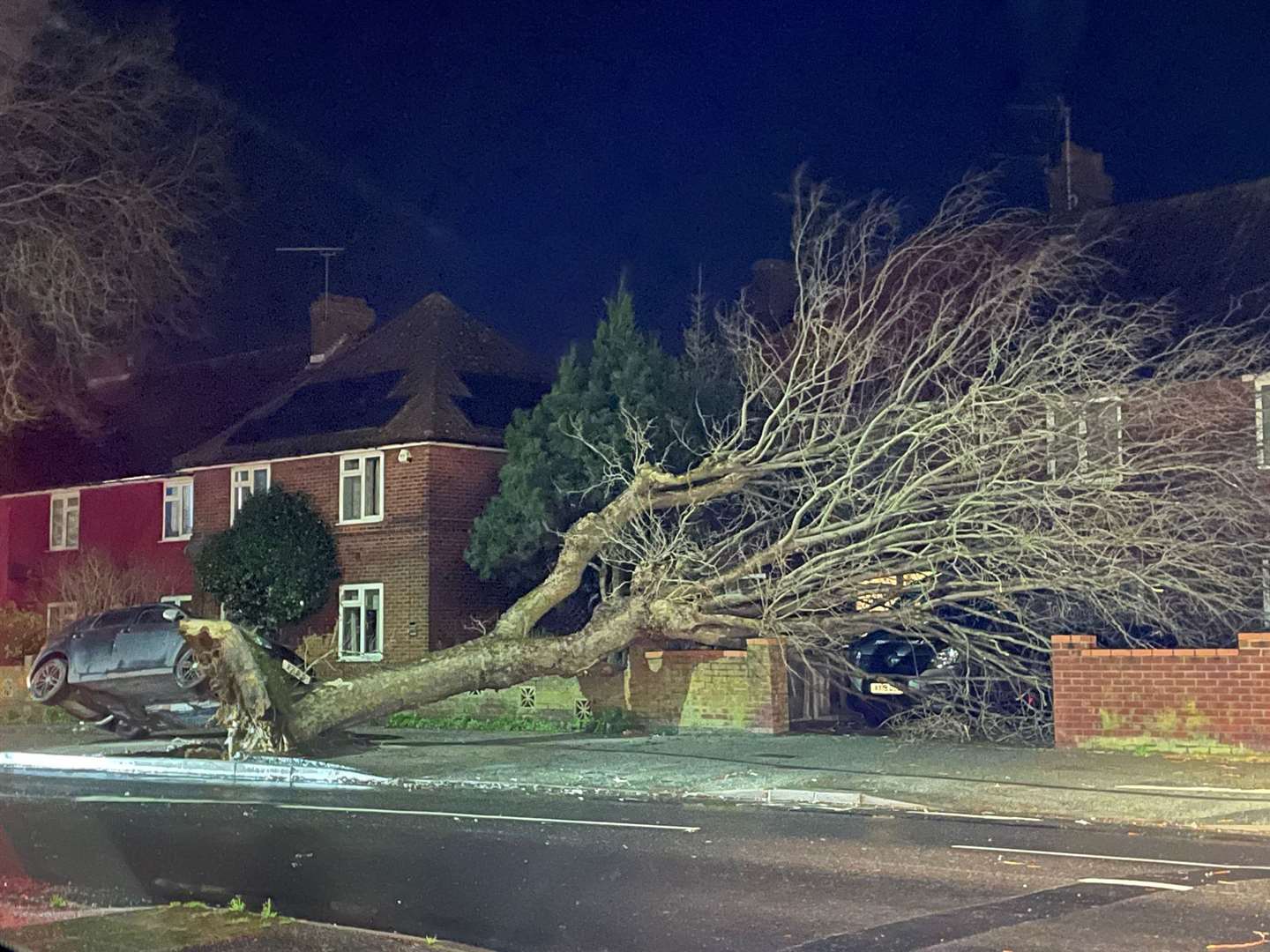 Fallen trees have damaged properties and killed a man (PA)