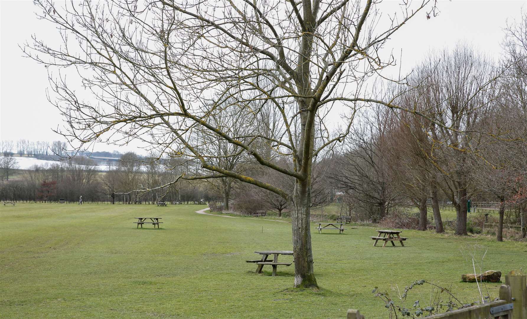 Teston Bridge Country Park, where Katie Lambert was punched Picture: Matthew Walker