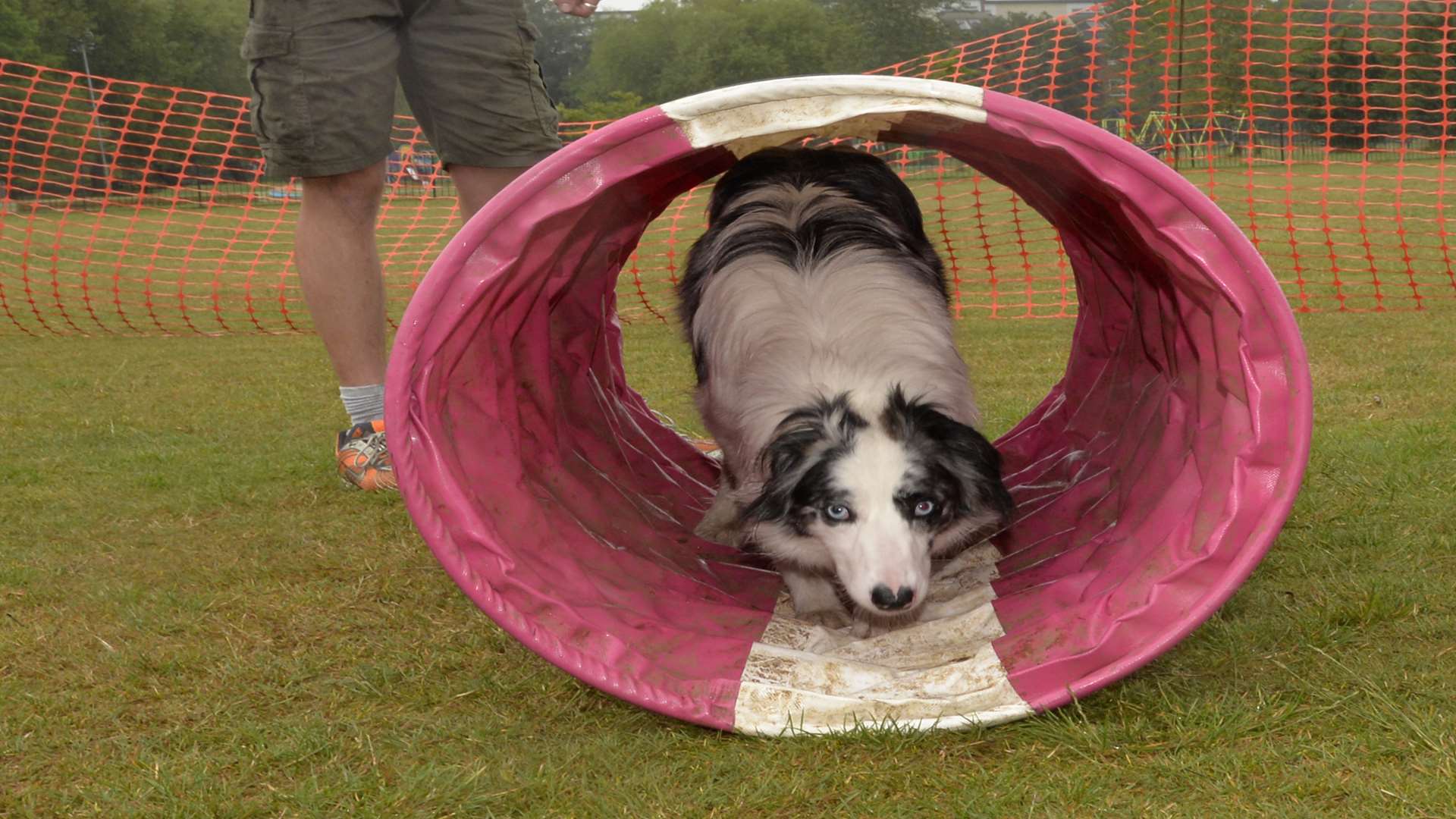 Luna tackles the obstacle course