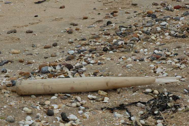 A bloodied baseball bat found on the beach at Warden by detectives