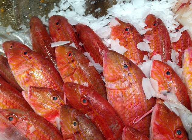 Thanet council owns a fish stall according to the Taxpayers' Alliance. Stock picture