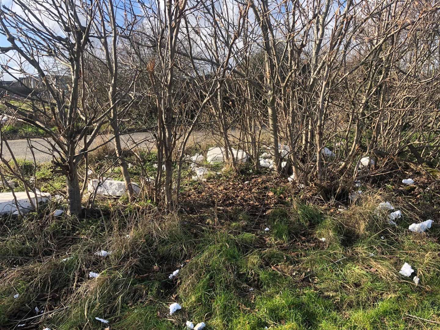 Rubbish from the building site in Rainham. Image: Amy Stapleton