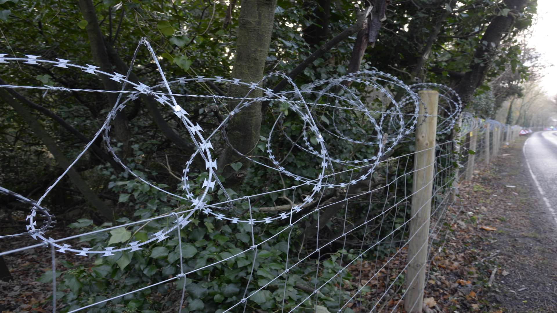 The fence has been erected to keep thieves out