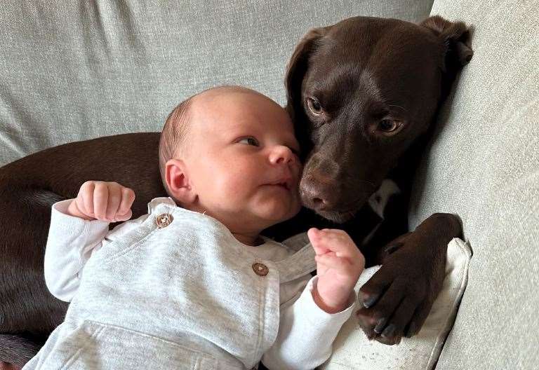 Folkestone couple ask dog to name baby by picking a tennis ball