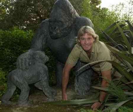Crocodile man Steve Irwin gets down with the gorillas at Howletts