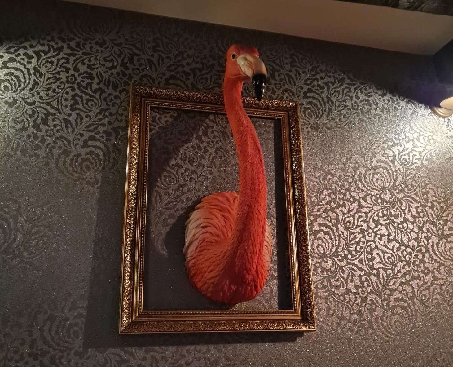 I'm watched over by a flamingo