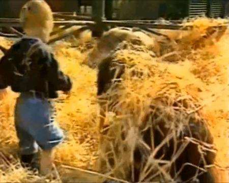 A gorilla plays with Tansy Aspinall at Howletts wild animal park in Bekesbourne 20 years ago.