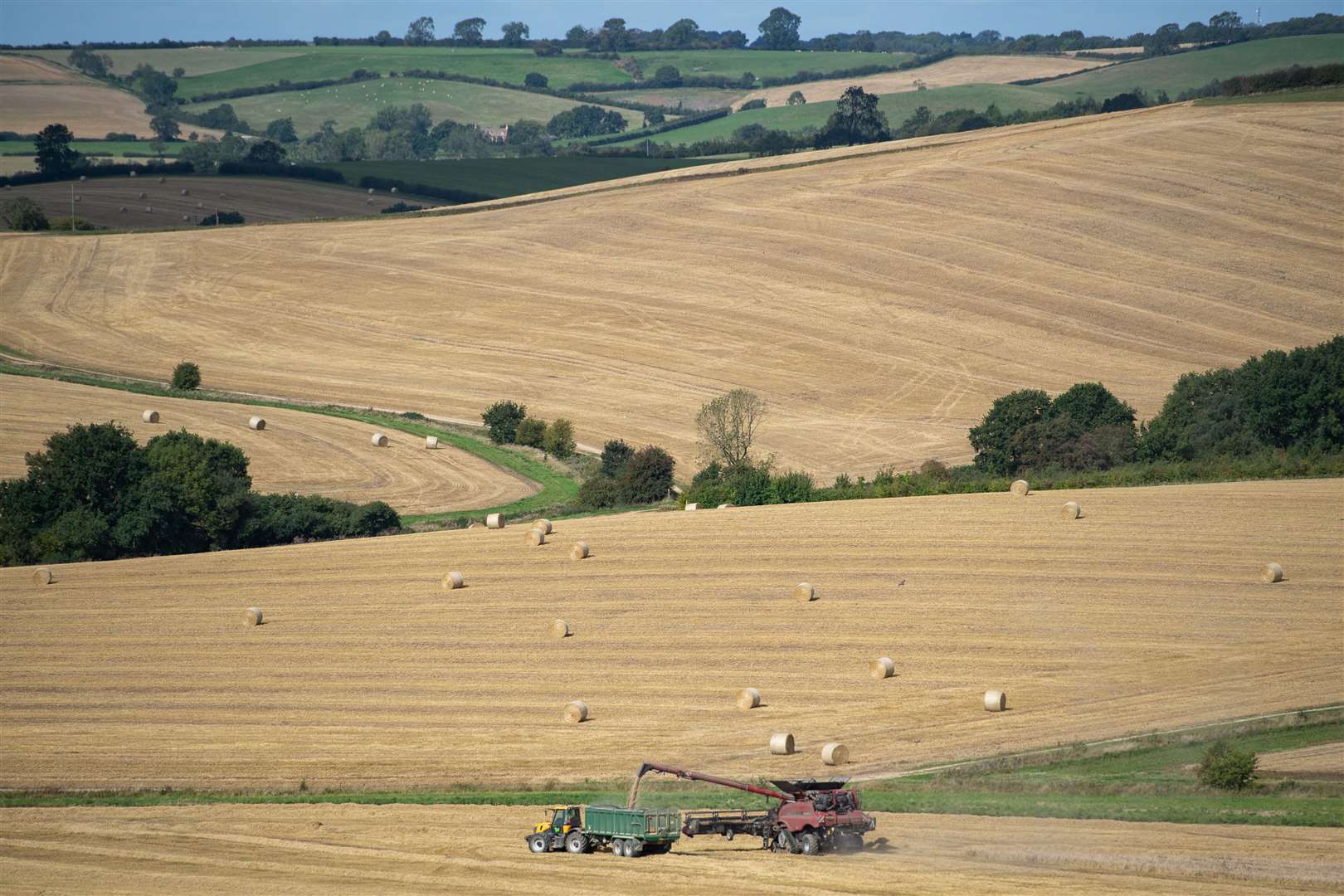 A combine harvester cuts the last of the wheat in a field near Ridlington in Rutland (Joe Giddens/PA)