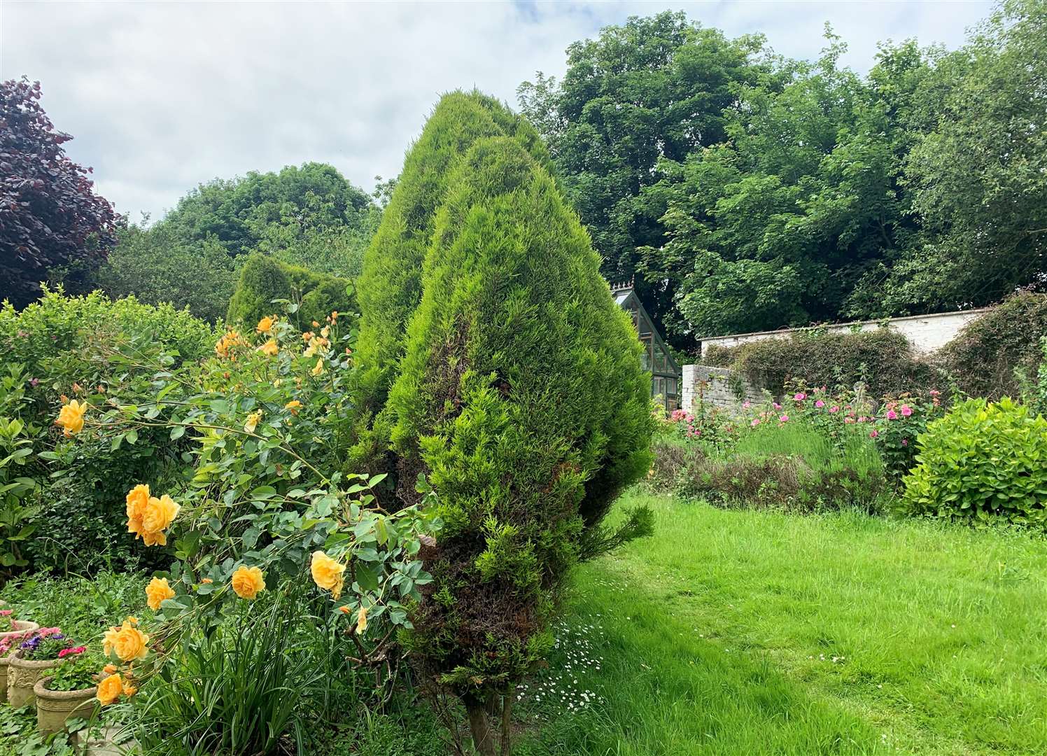 Some of the gardens at Oxney Court near Dover