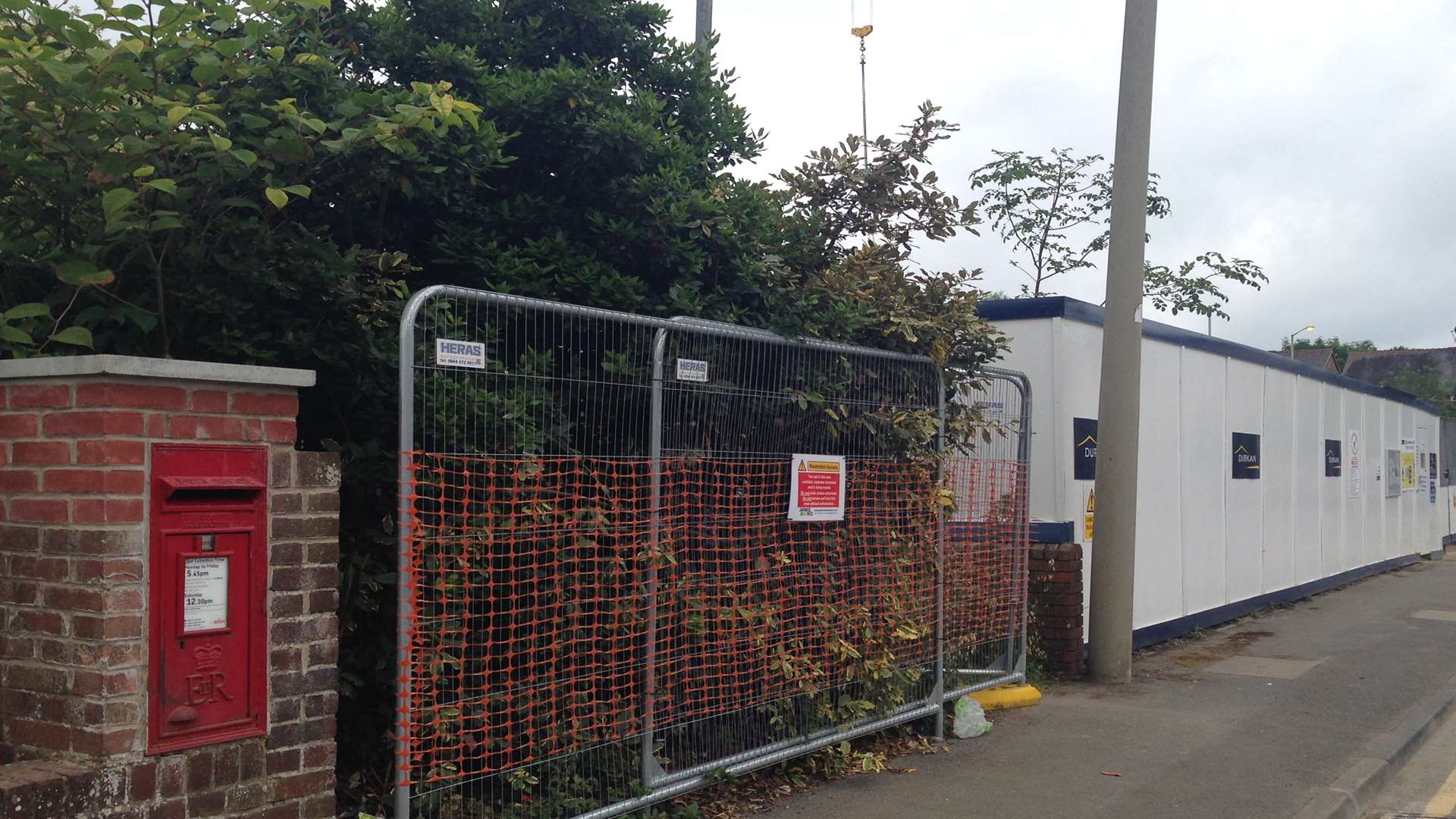 The fast-spreading plant was discovered off Hardinge Road