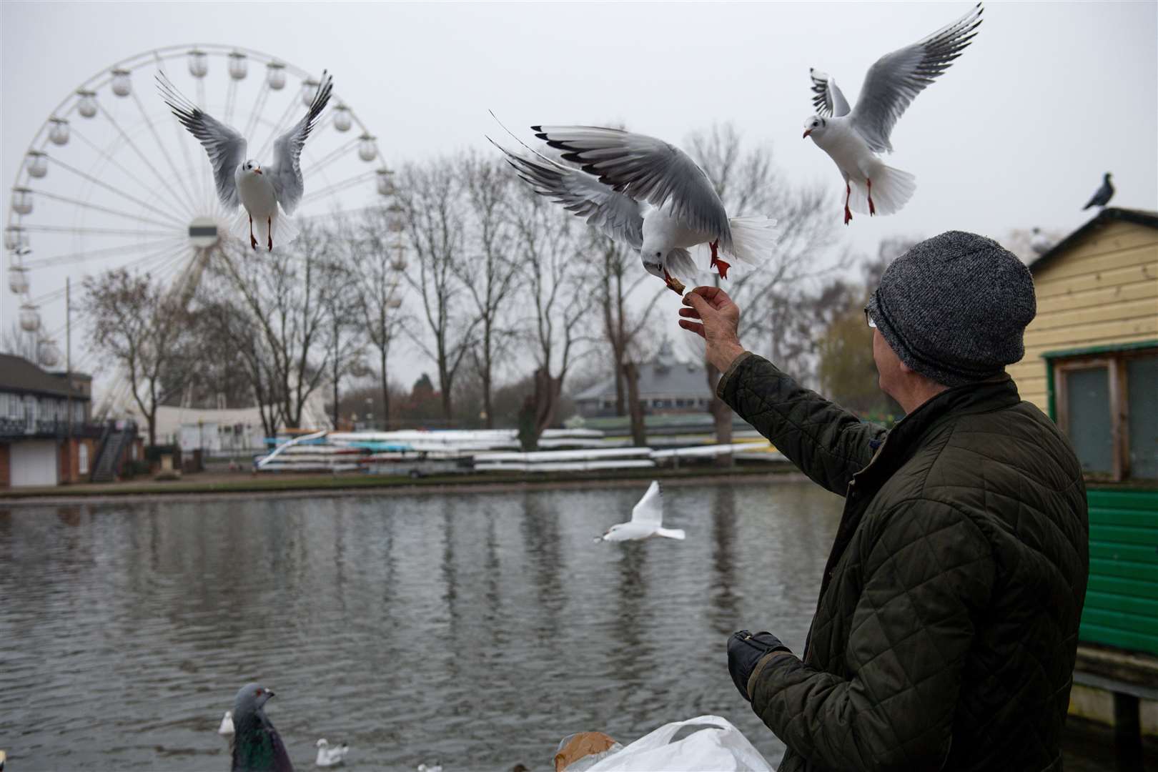 The RSPCA recommends leaving seeds and grains outside for birds struggling to find food in the winter months (Jacob King/PA)