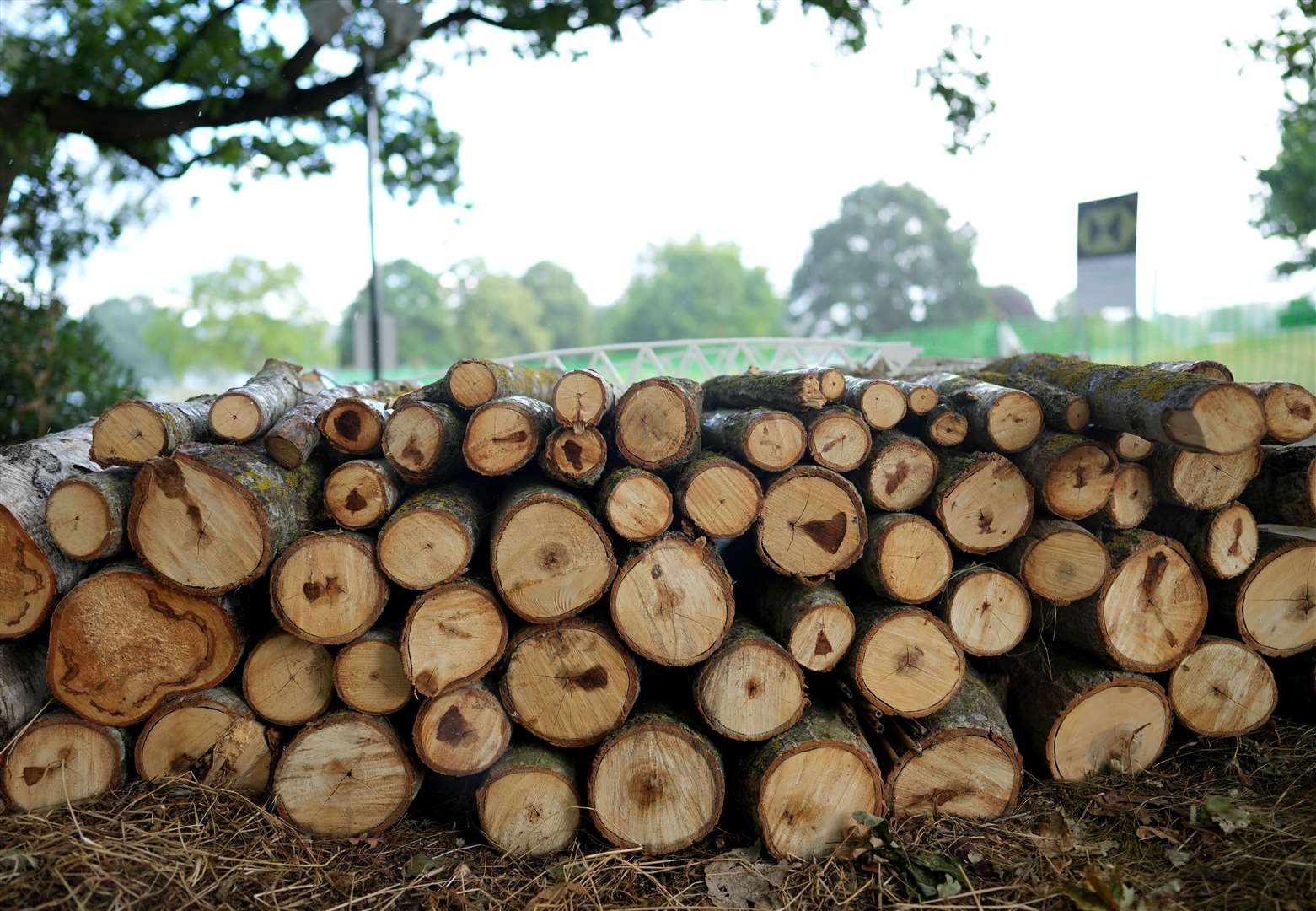 Wimbledon’s bug hotel (Zac Goodwin/PA)