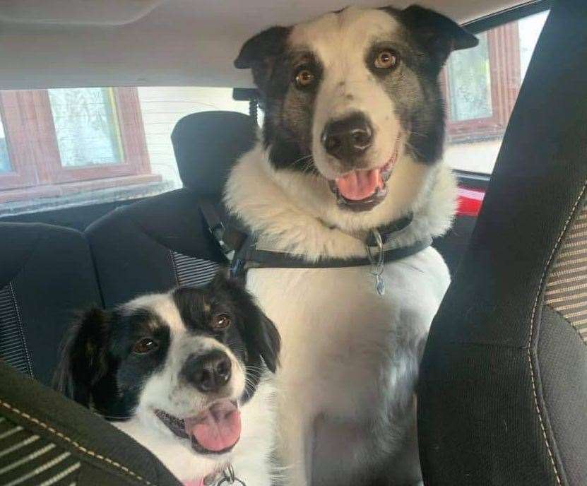 Lyssa and Toby enjoying a car ride