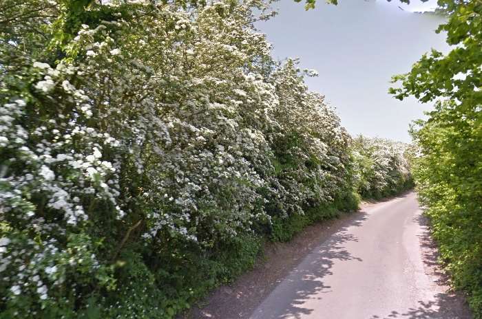 Crutches Lane in Higham, where Fagg fled from his car