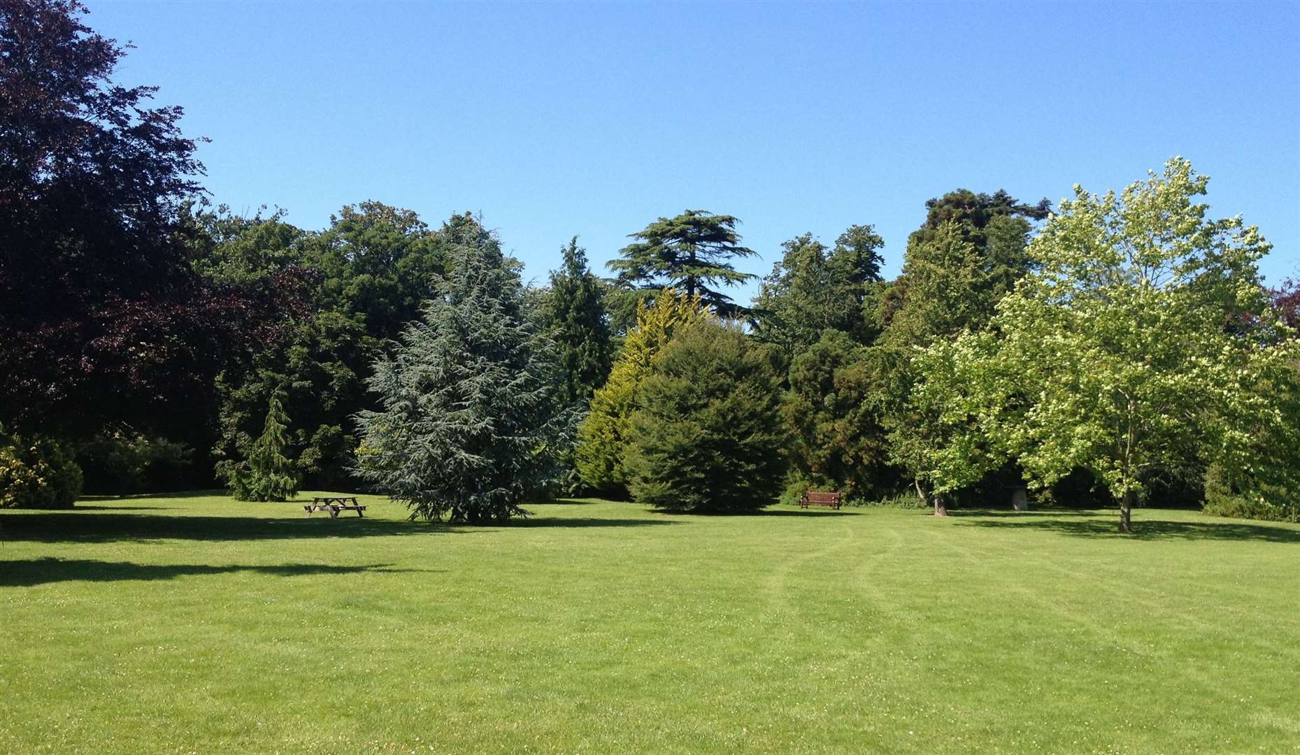 Enjoy a relaxing picnic in Quex Park. Picture: Keith Dunmall