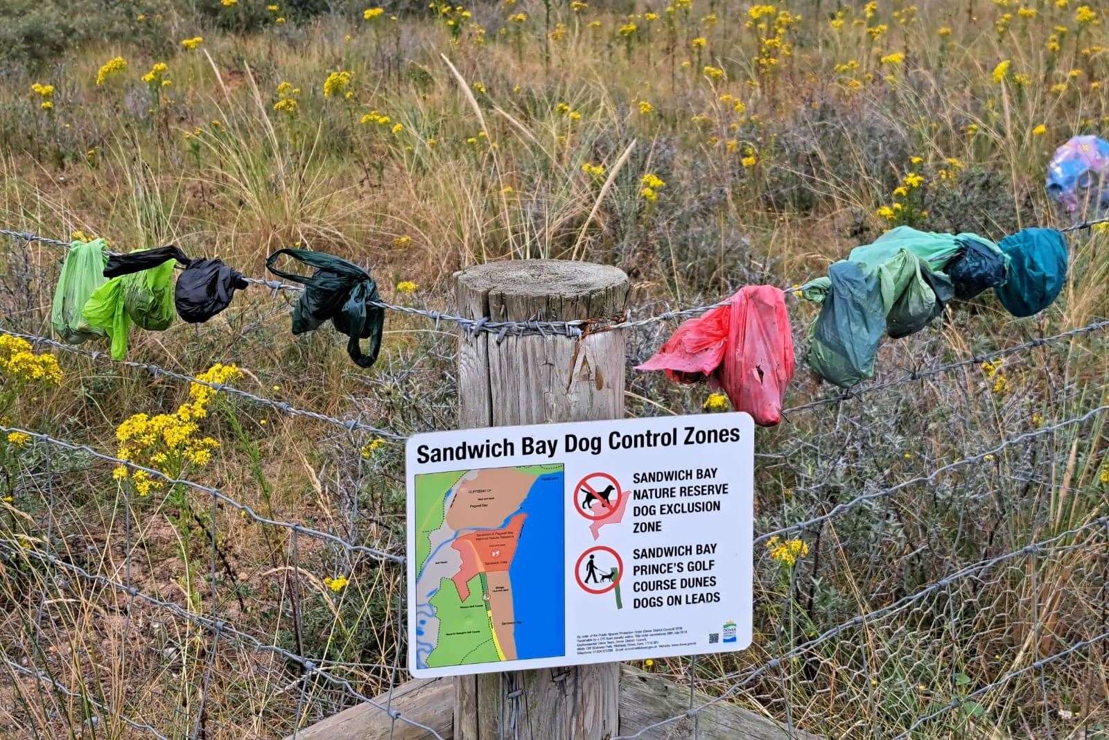 Dog poo left at Pegwell Bay