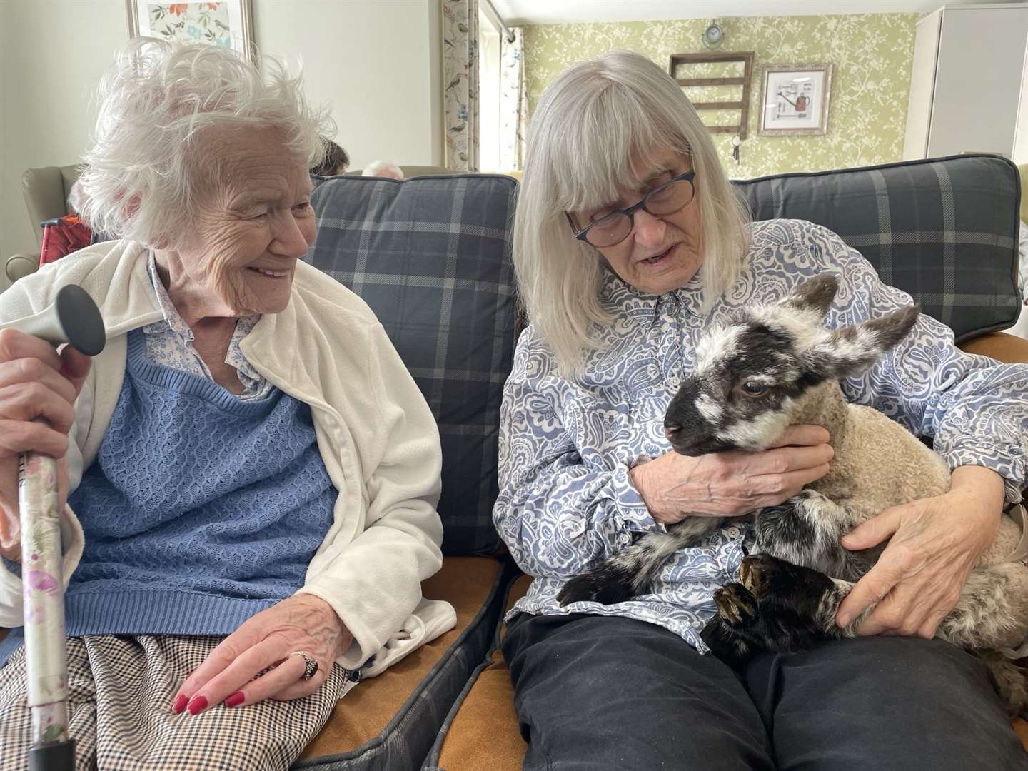 Pat and Margaret also enjoyed seeing the little sheep. Picture: Harrier Lodge