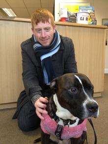 Bella reunited with owner Stephen Hook