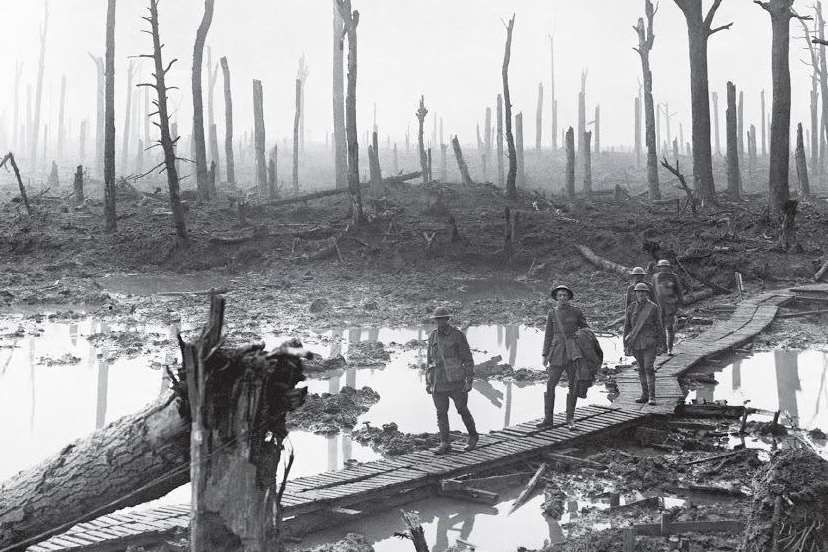 A trench through the shell-blasted remains of French woodland