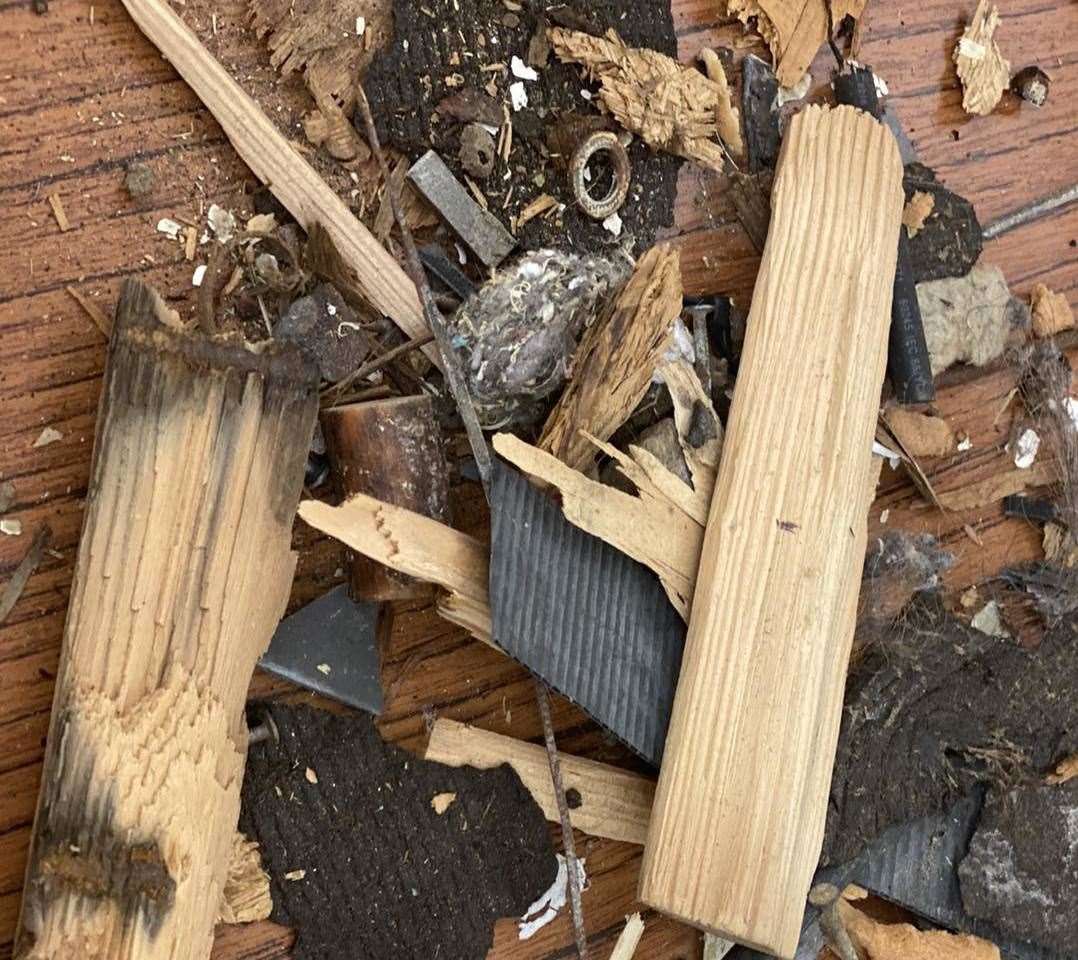 Some of the 'small' debris found to have fallen from the roof into the swimming pool. Picture: Sue Ferguson