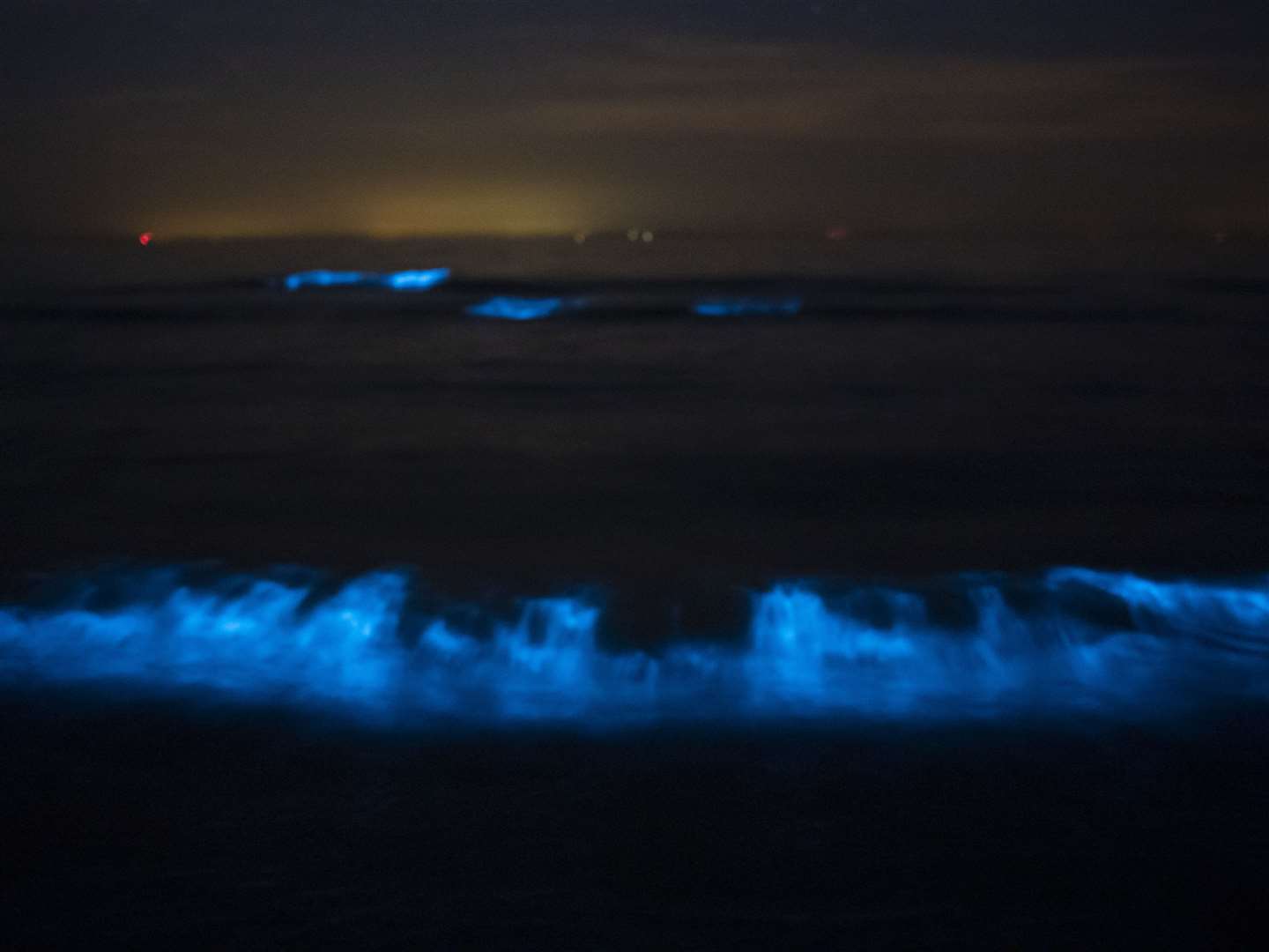 Stunning algae display lights up sea on St Mary's Bay beach