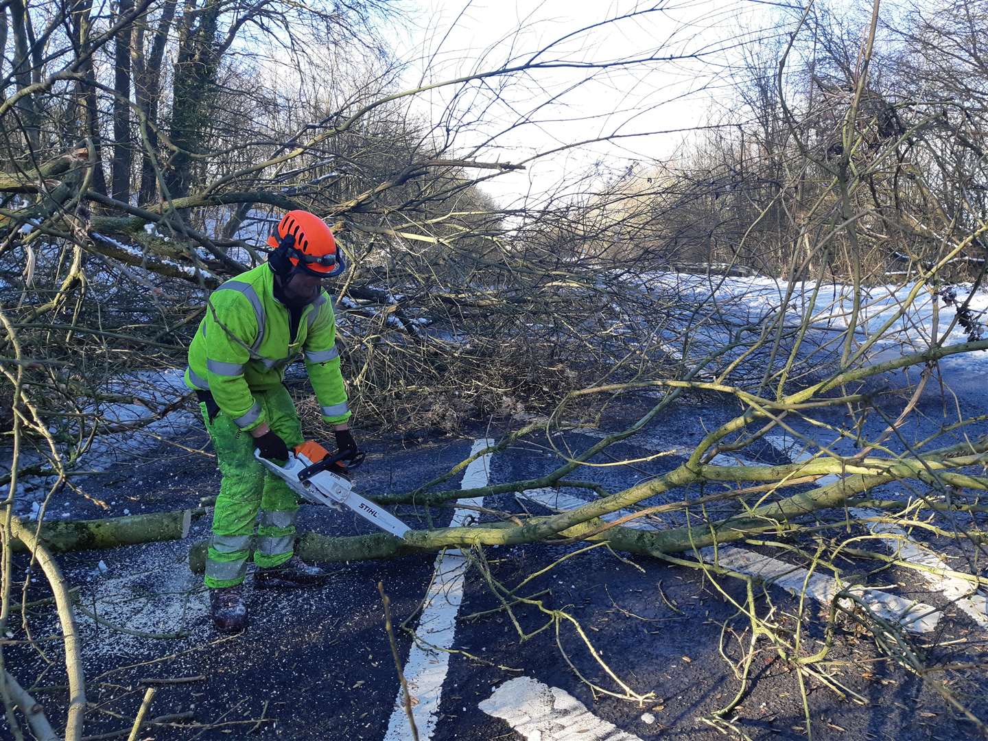 Tree surgeon Sam Gray tackling the fallen trees (6931296)