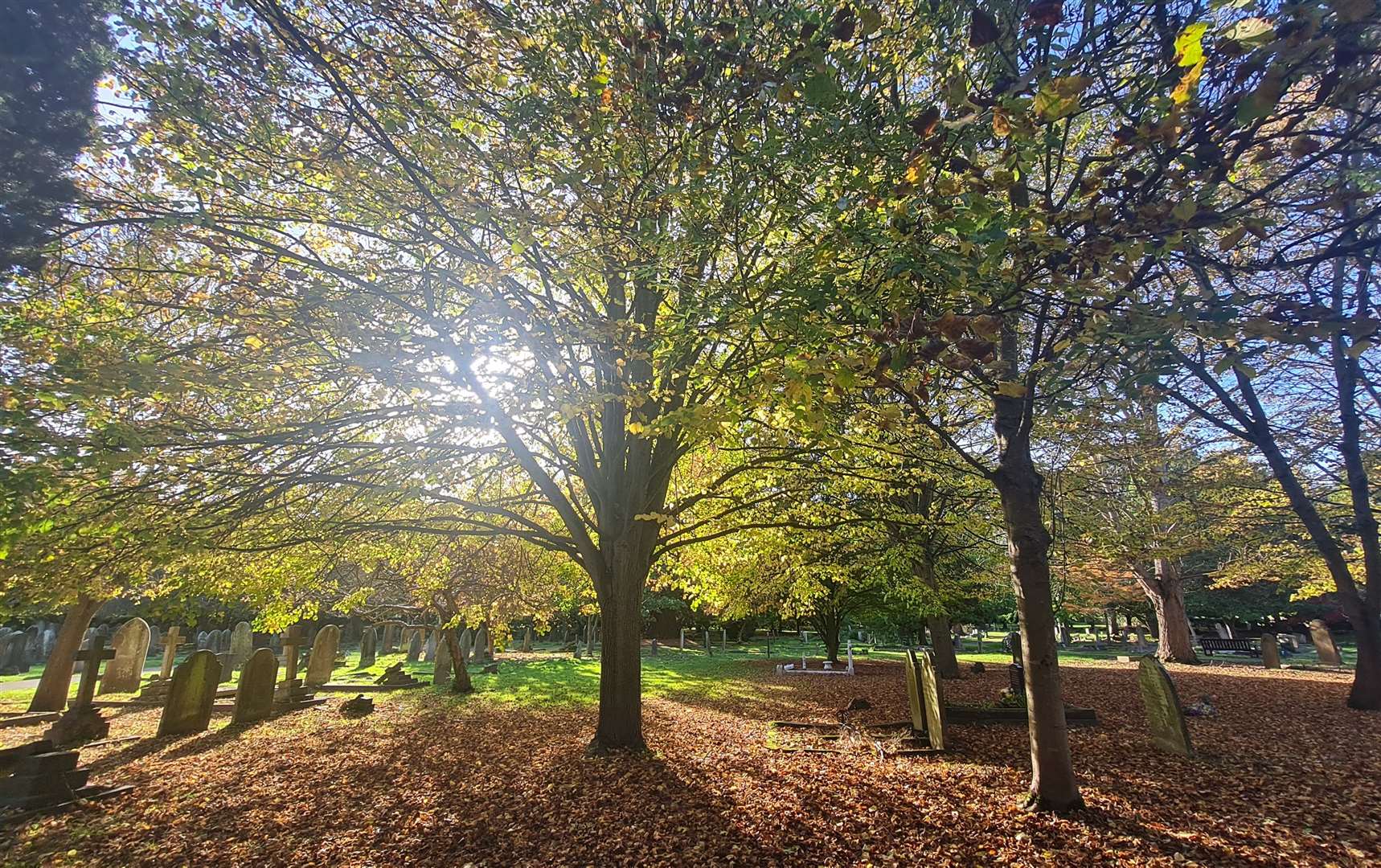 Canterbury Cemetery has been praised for it peaceful beauty