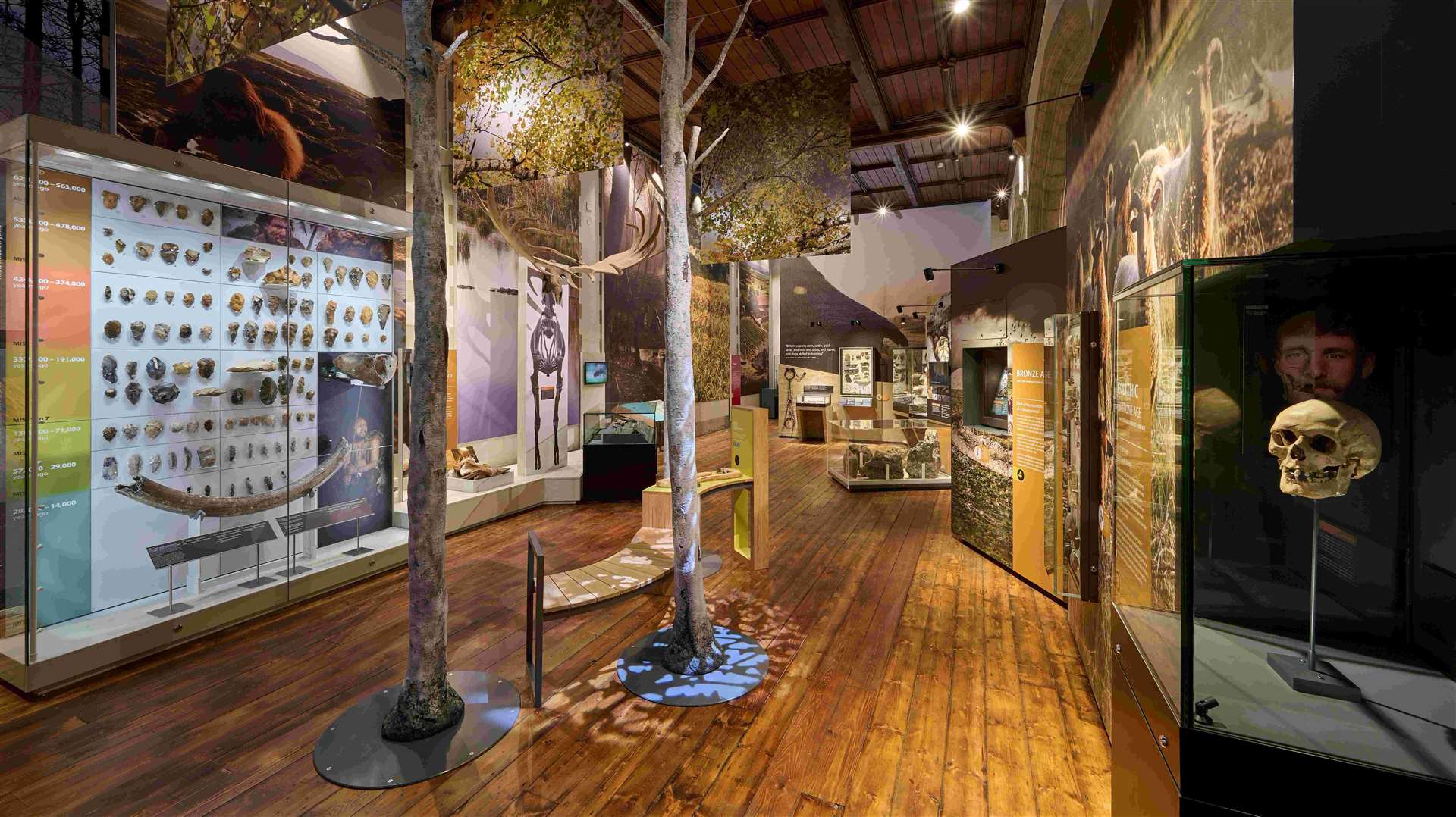 The new £640k Lives In Our Landscape Gallery opened at Maidstone Museum earlier this year. Picture: Paul Dixon Studios