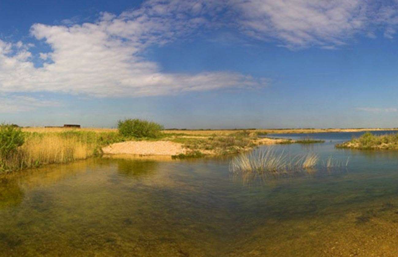 RSPB will continue to own and manage the Dungeness reserve. Picture: Ben Hall/RSPB