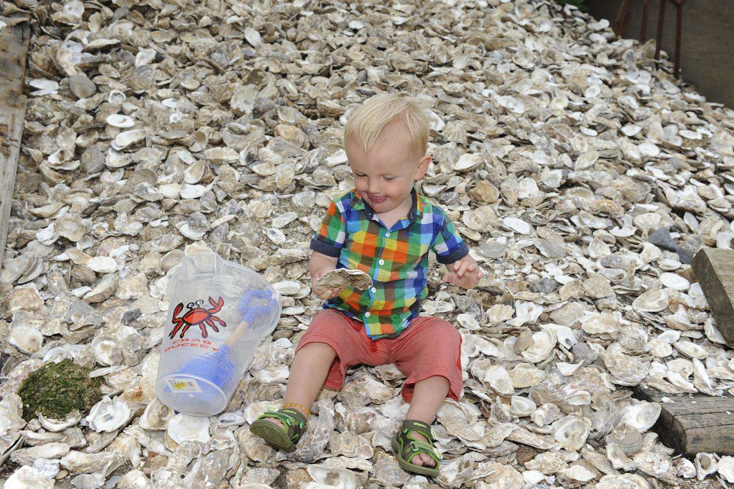 Jesse Corrall, one, at Whitstable Beach