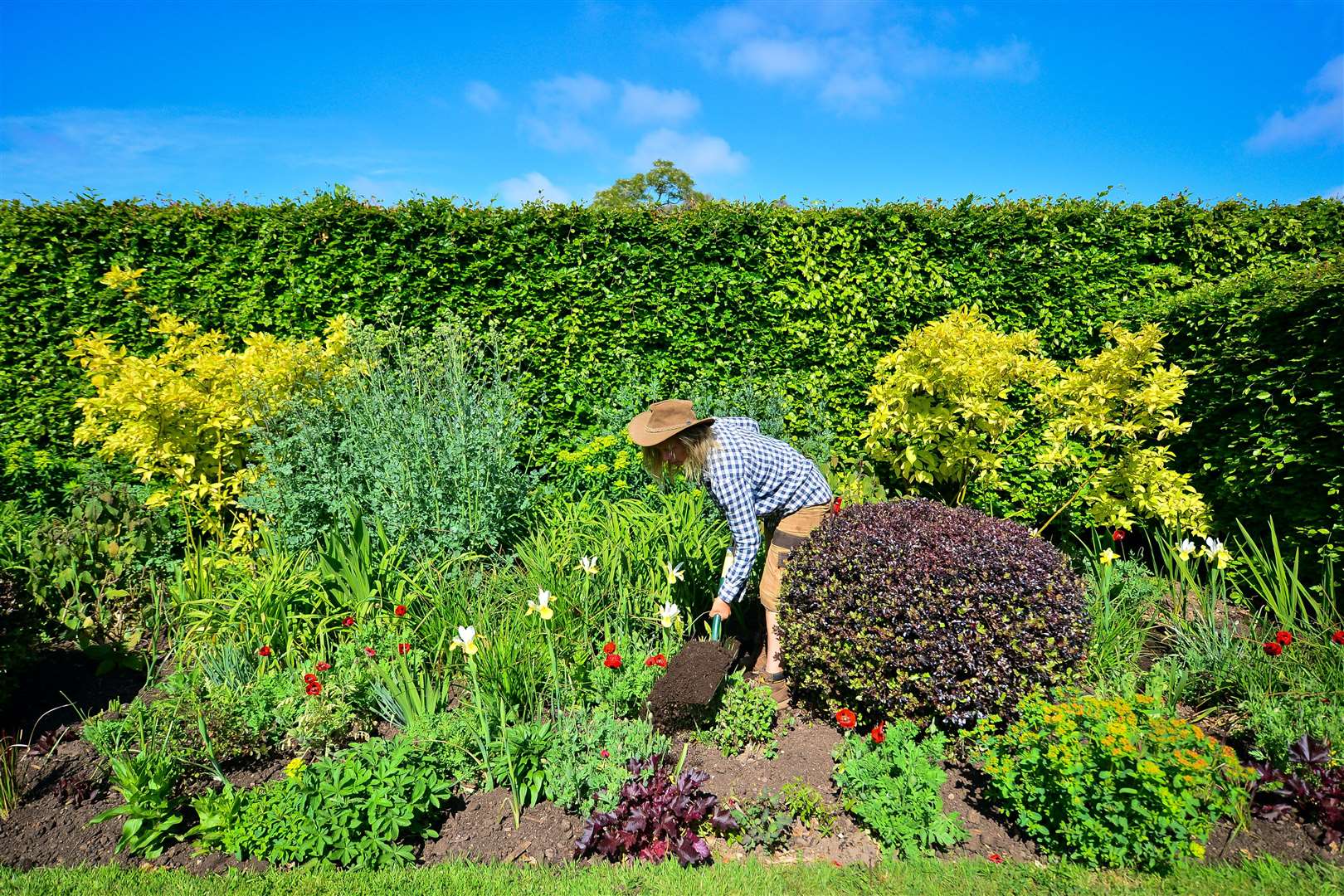 Peat Makes Up Less Than 50% Of Compost For First Time – Horticulture 