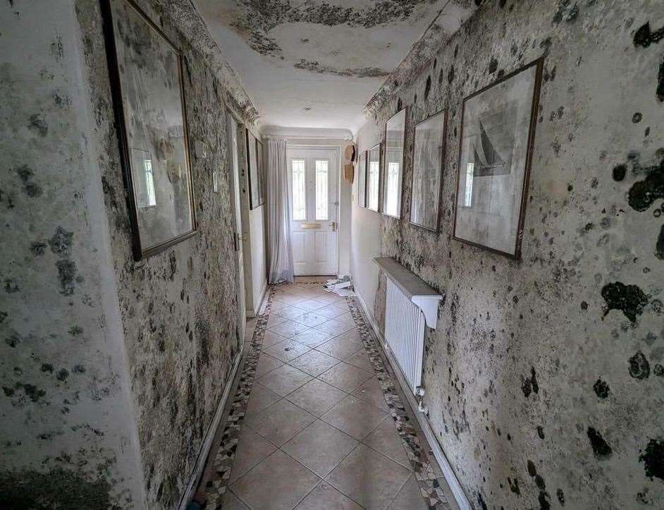 The walls look to be covered in wallpaper but it is mould. Picture: Rightmove