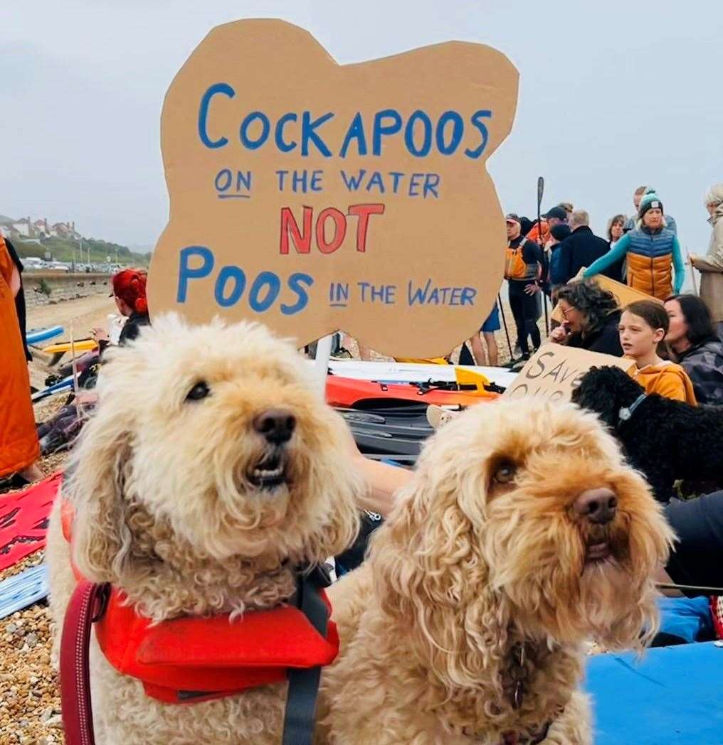 Surfers Against Sewage held a protest on Hythe Beach on Saturday, May 18. Picture: Sarah Kennett