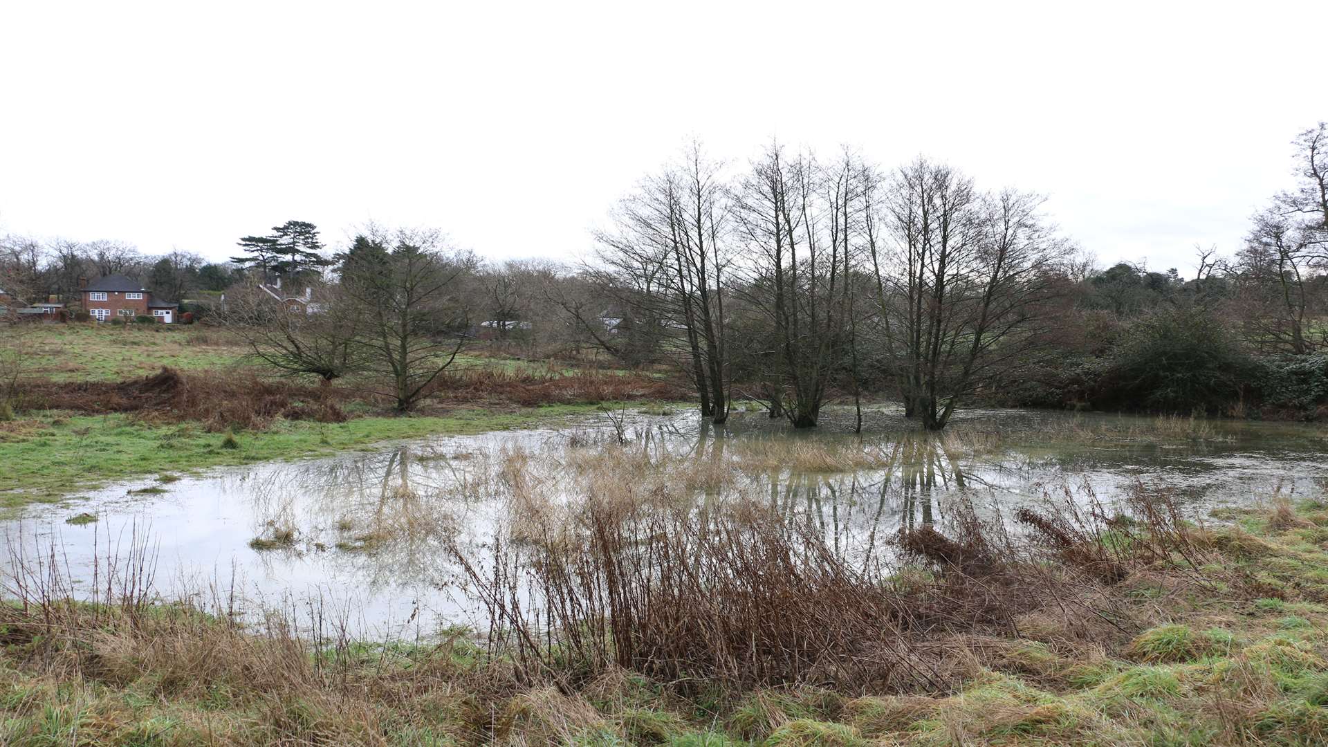 The Lilk Meadow under flood