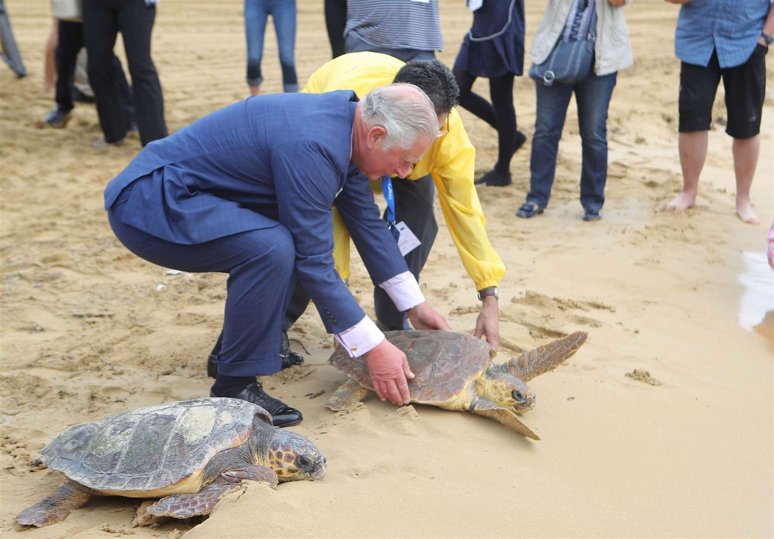 Charles, pictured releasing a turtle into the sea in Malta, has been a life-long environmentalist (Steve Parsons/PA)