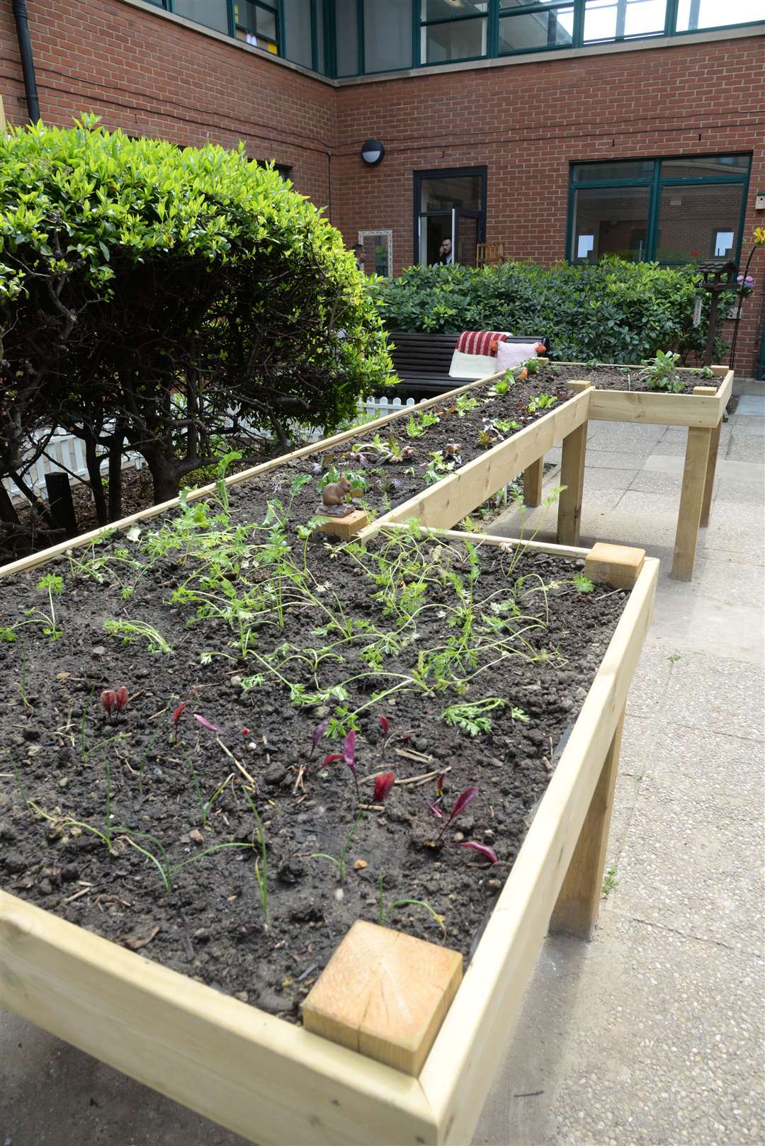 The dementia garden at the Medway Maritime Hospital after its opening on Wednesday. Picture: Chris Davey. (9488571)