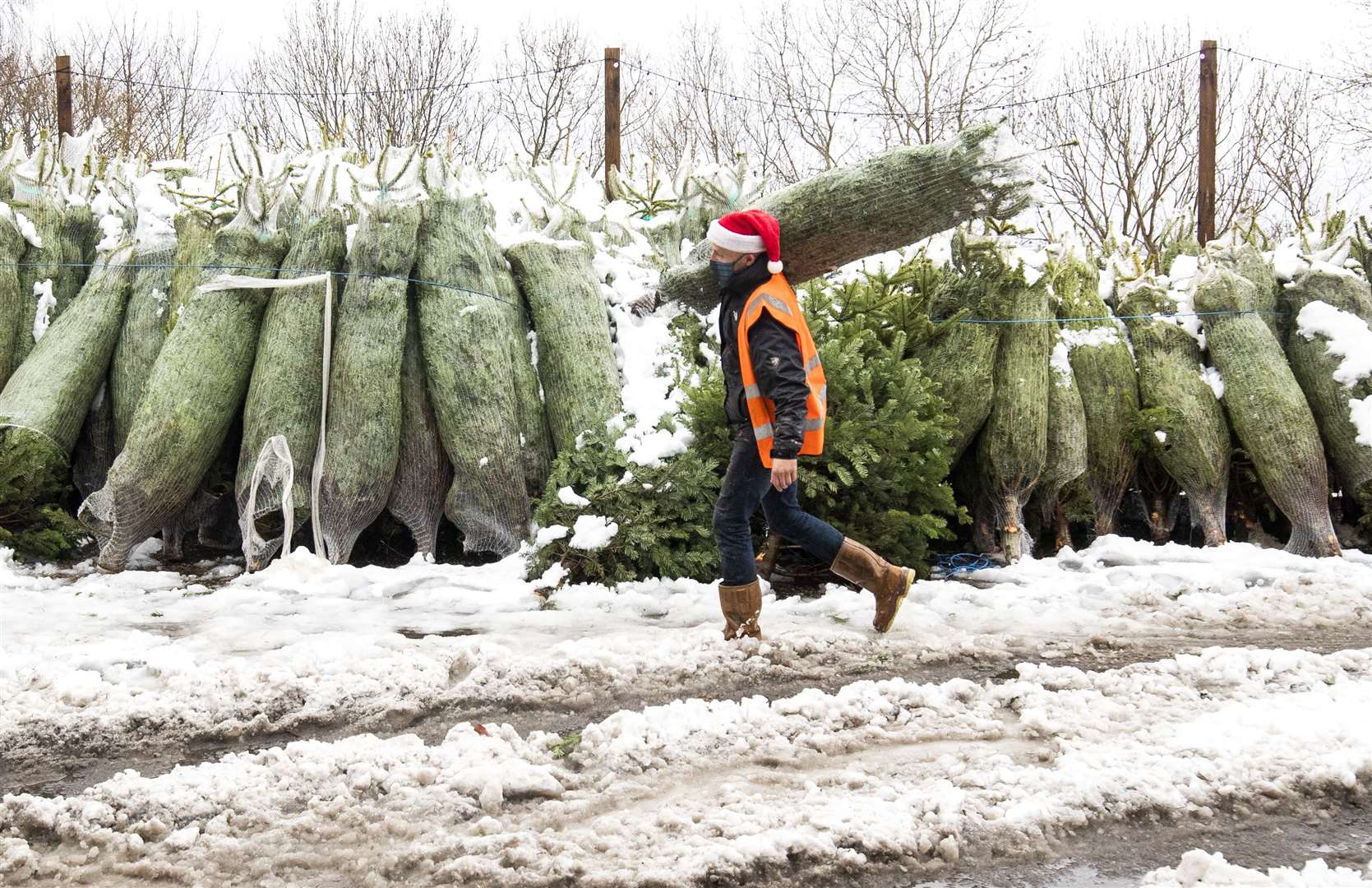 Dave Baptie works in the snow at the Hill End Christmas Tree Centre near Edinburgh (Jane Barlow/PA)