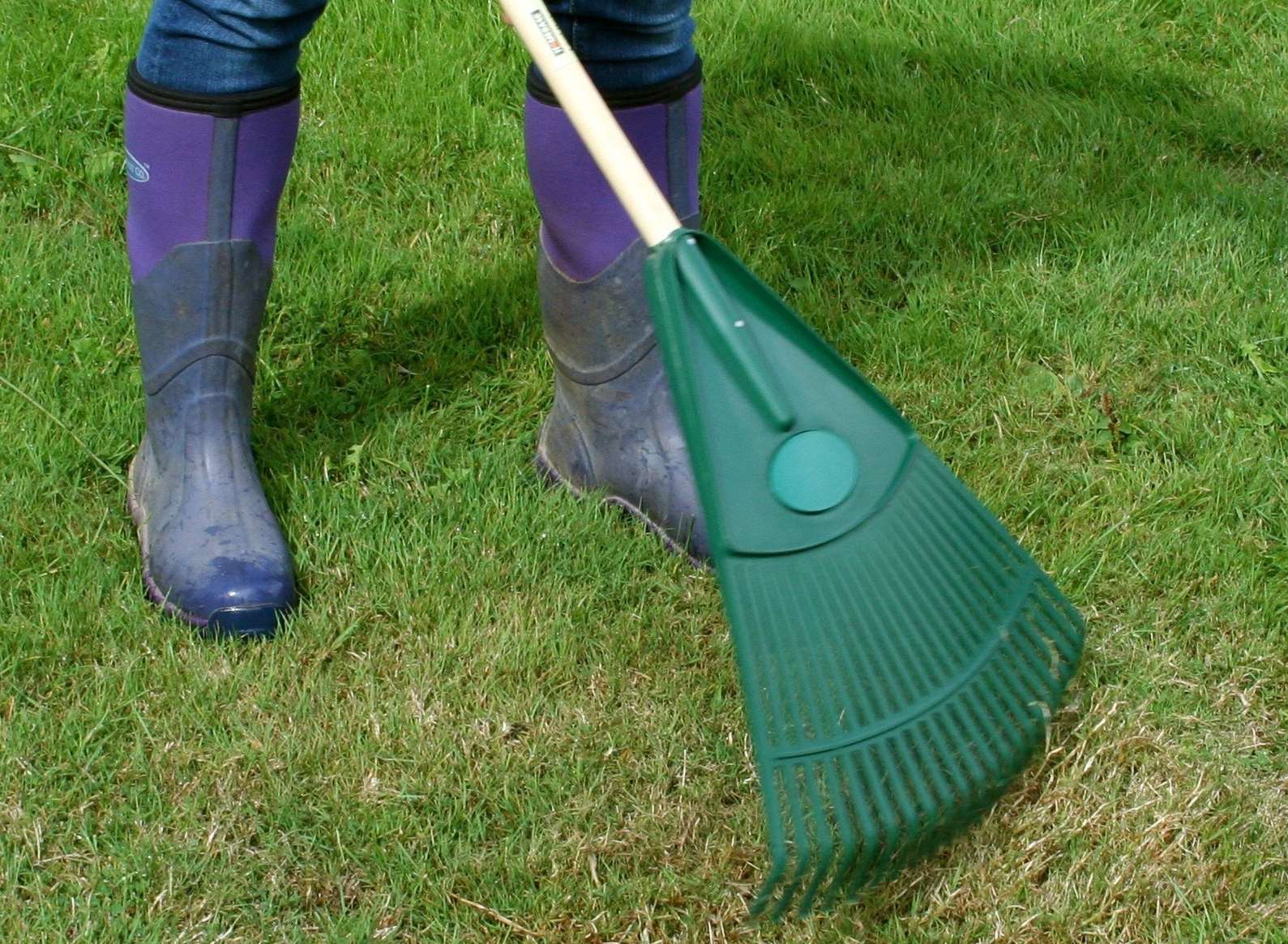 Scarifying to remove moss