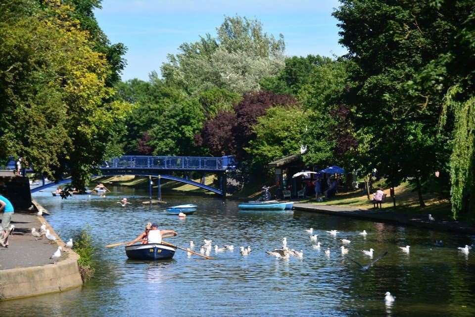 The large carp was found in the Royal Military Canal