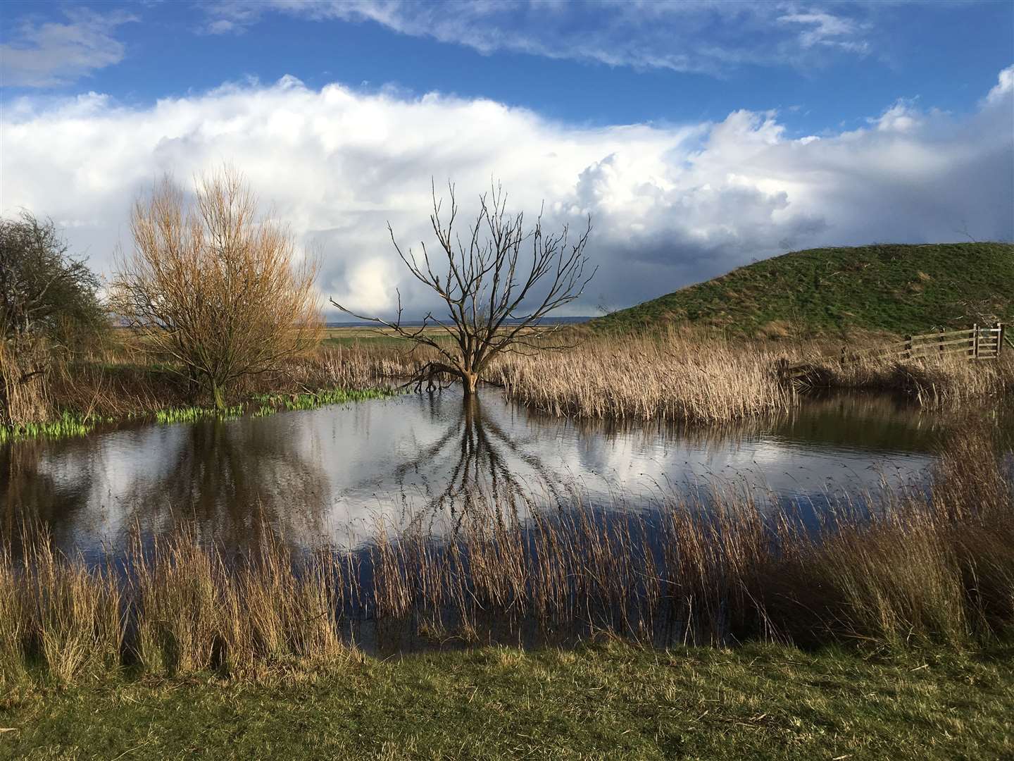 Elmley Nature Reserve, Sheppey. Picture: John Nurden